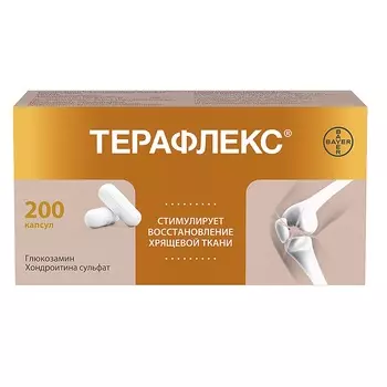 Терафлекс капсулы 200 шт
