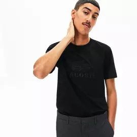 Футболка Футболка Lacoste