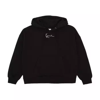 SMALL SIGNATURE ESSENTIAL OS HOODIE
