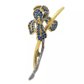 Брошь из серебра со шпинелью с чернением и позолотой И3-872-21-61