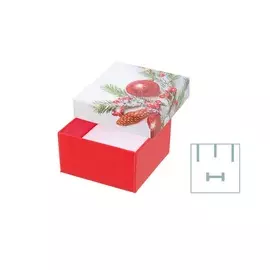 Футляр 91030/Н