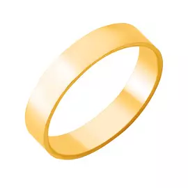 Кольцо обруч.