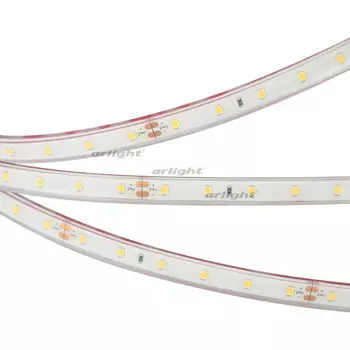 Лента Arlight RTW-PFS-A60-11mm 2835 034160