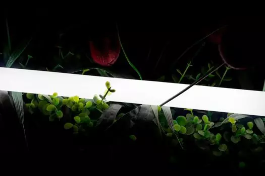 Лента светодиодная неоновая 360 SWG PRO 00-00013283