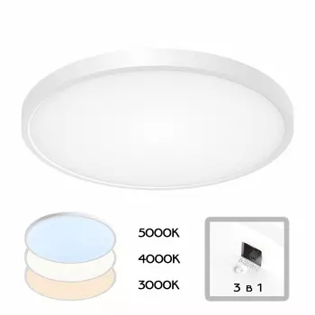 Настенно-потолочный светильник CitiLux Бейсик CL738320V