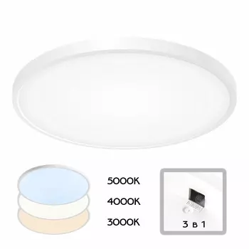 Настенно-потолочный светильник CitiLux Бейсик CL738400V