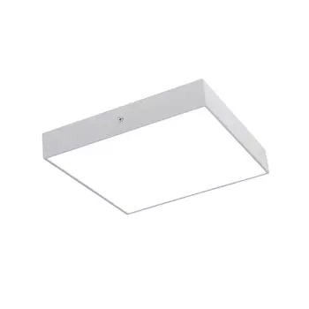 Настенно-потолочный светильник Favourite Flashled 2066-30C