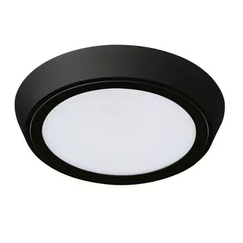 Настенно-потолочный светильник LightStar Urbano 216972