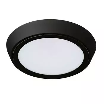 Настенно-потолочный светильник LightStar Urbano 216974