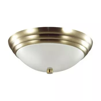 Настенно-потолочный светильник Lumion KAYLA 5262/2C