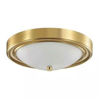 Настенно-потолочный светильник Lumion NINA 5259/2C