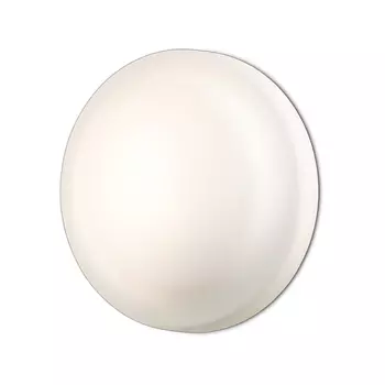 Настенно-потолочный светильник Odeon Light Tavoty 2760/1C