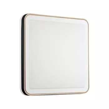 Настенно-потолочный светильник Sonex AKUNA 7621/DL