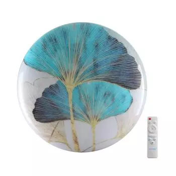 Настенно-потолочный светильник SONEX FLOREN 7747/El