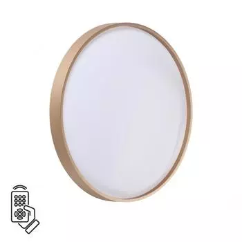 Настенно-потолочный светильник SONEX GABY 7783/DL