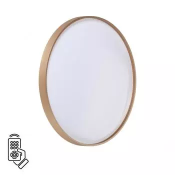 Настенно-потолочный светильник SONEX GABY 7783/EL