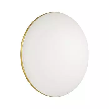 Настенно-потолочный светильник Sonex LASSA 3043/DL