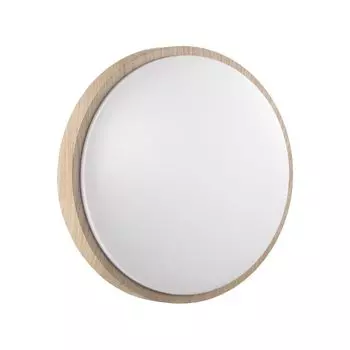 Настенно-потолочный светильник Sonex LOSTA 7607/DL