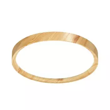 Настенно-потолочный светильник Sonex WOODI 3019/DL