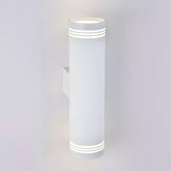 Настенный светильник Elektrostandard Rutero Selin a043955