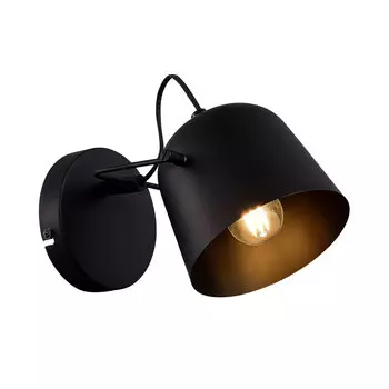 Настенный светильник EVOLUCE BLANK SLE1805-401-01