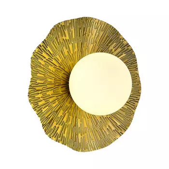 Настенный светильник EVOLUCE LOREA SLE1196-301-01