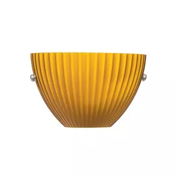 Настенный светильник LightStar Amber 810813