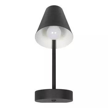 Настенный светильник Loft IT Shelf 10216/1W Black