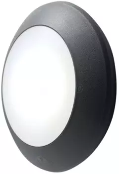 Настенный светильник уличный Fumagalli Bertina 1B1.000.000.AYG1R