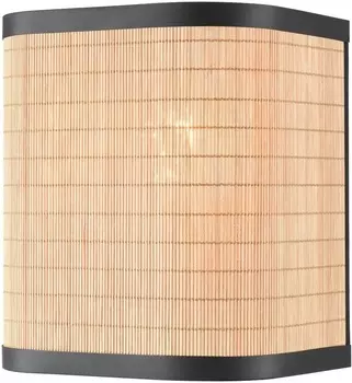 Настенный светильник Velante 568-711-01