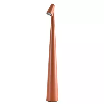 Настольная лампа Arte Lamp FUSION A3283LT-2BR