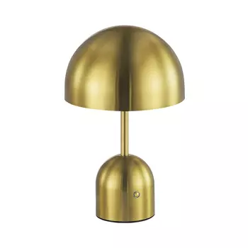 Настольная лампа EVOLUCE ECLAT SLE1806-204-01