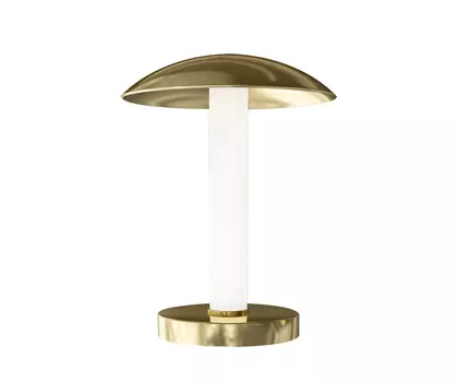 Настольная лампа KinkLight Гарда 07065