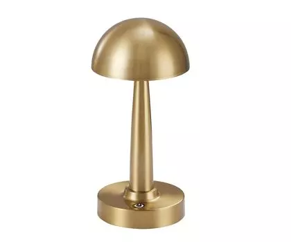 Настольная лампа KinkLight Хемуль 07064-C,20