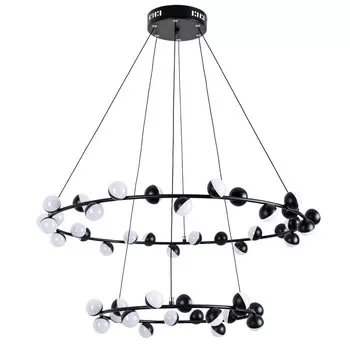 Подвесная люстра ArteLamp DEXTER A3619SP-48BK