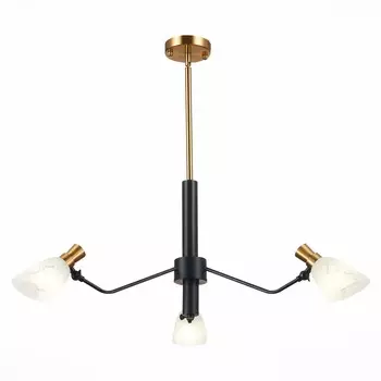 Подвесная люстра Evoluce LITA SLE205403-03