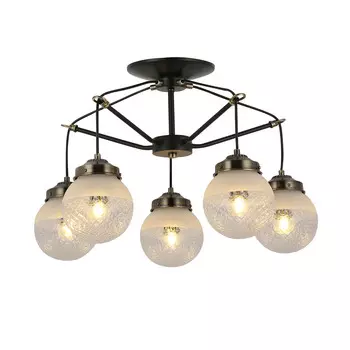 Подвесная люстра Evoluce STRICCE SLE110302-05