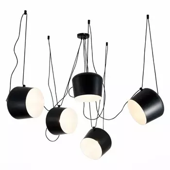 Подвесная люстра Evoluce TRIESTE SLE120643-05