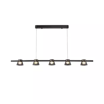 Подвесная люстра Favourite Twix 4247-5P