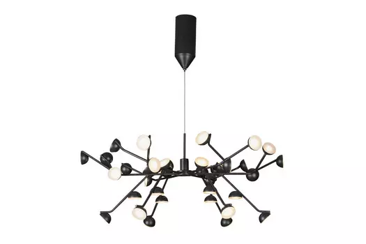 Подвесная люстра ILedex Inefable X088301-100 BK