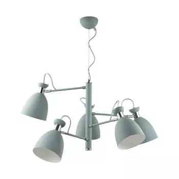 Подвесная люстра Lumion KIZZY 3735/5