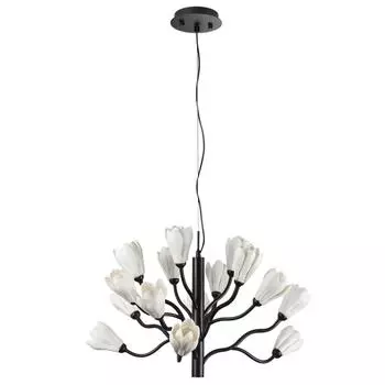 Подвесная люстра ODEON LIGHT GARDI 5090/15