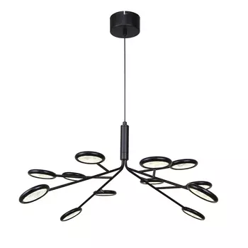 Подвесная/Потолочная люстра F-Promo Mugs 4252-12P