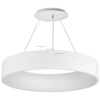 Подвесной светильник Arlight SP-TOR-RING-HANG-R600-42W Day4000 022148(1)