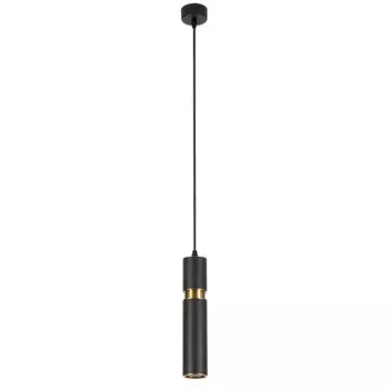 Подвесной светильник ArteLamp RAN A3145SP-1BK