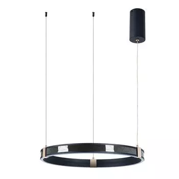 Подвесной светильник ARTE LAMP SHINE A2222SP-1BK