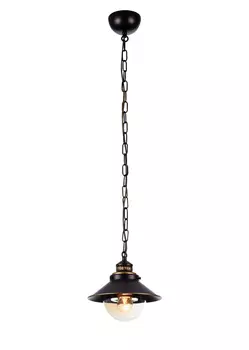 Подвесной светильник ArteLamp GRAZIOSO A4577SP-1CK