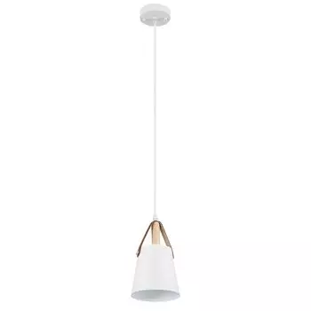 Подвесной светильник ArteLamp THOMAS A7032SP-1WH