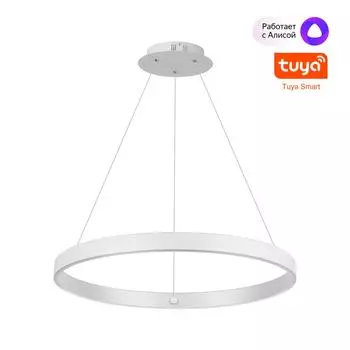 Подвесной светильник диммир. со сменой цв. температуры NOVOTECH SOTTO 359449