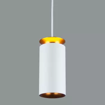 Подвесной светильник Elektrostandard a045501